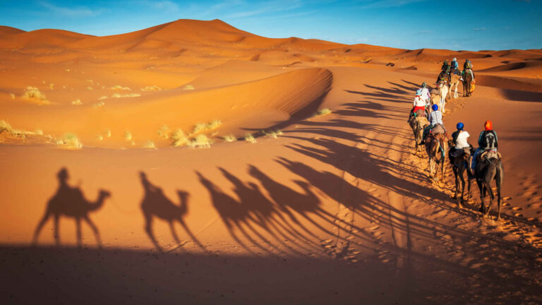 Shadows of a camel caravan on the Sahara dunes near Merzouga