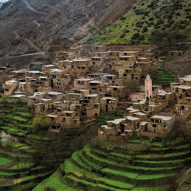 Terraced Berber village in the green Ourika Valley, High Atlas