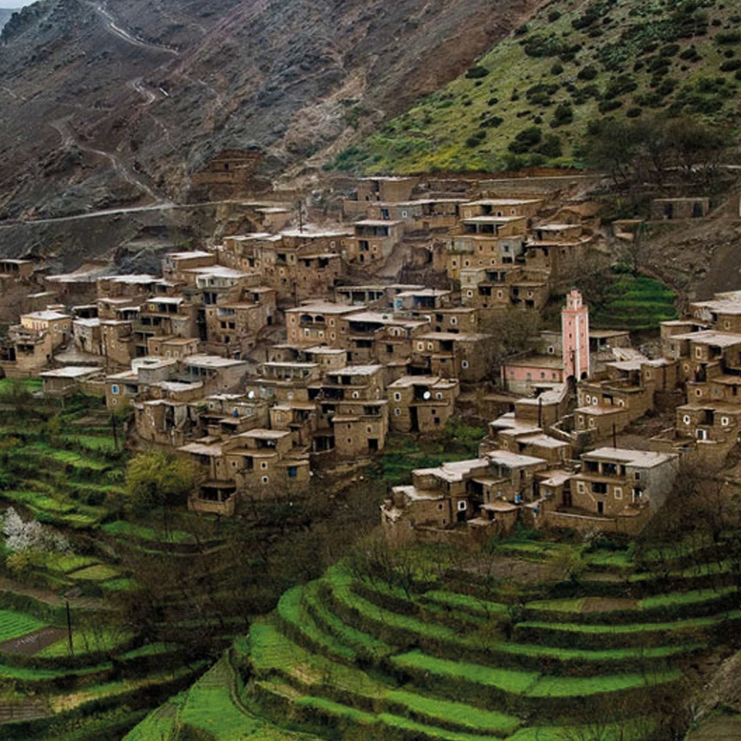 Terraced Berber village in the green Ourika Valley, High Atlas