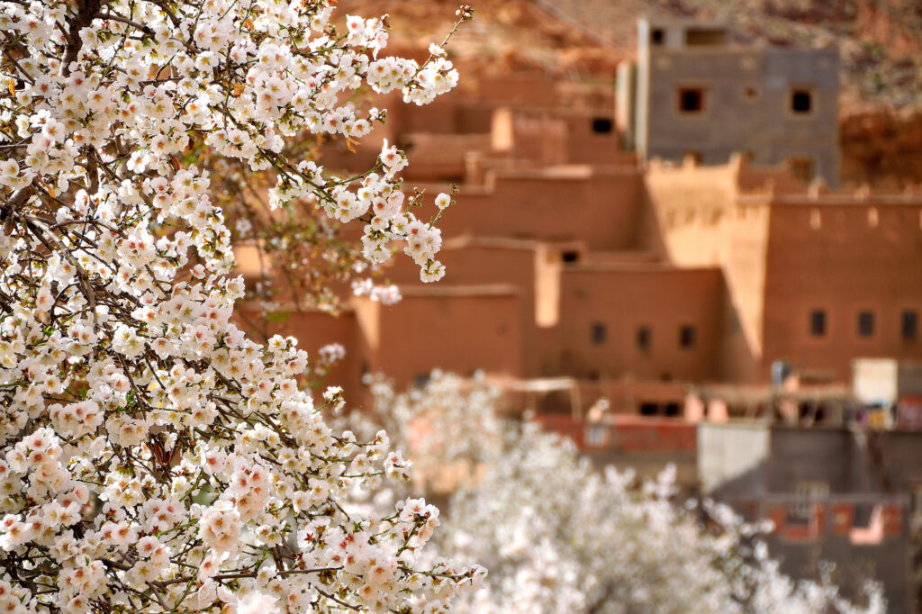 Morocco's four seasons