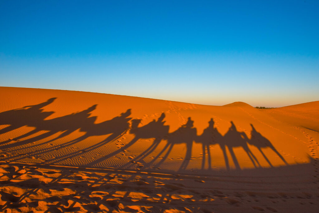 What to wear in the Sahara