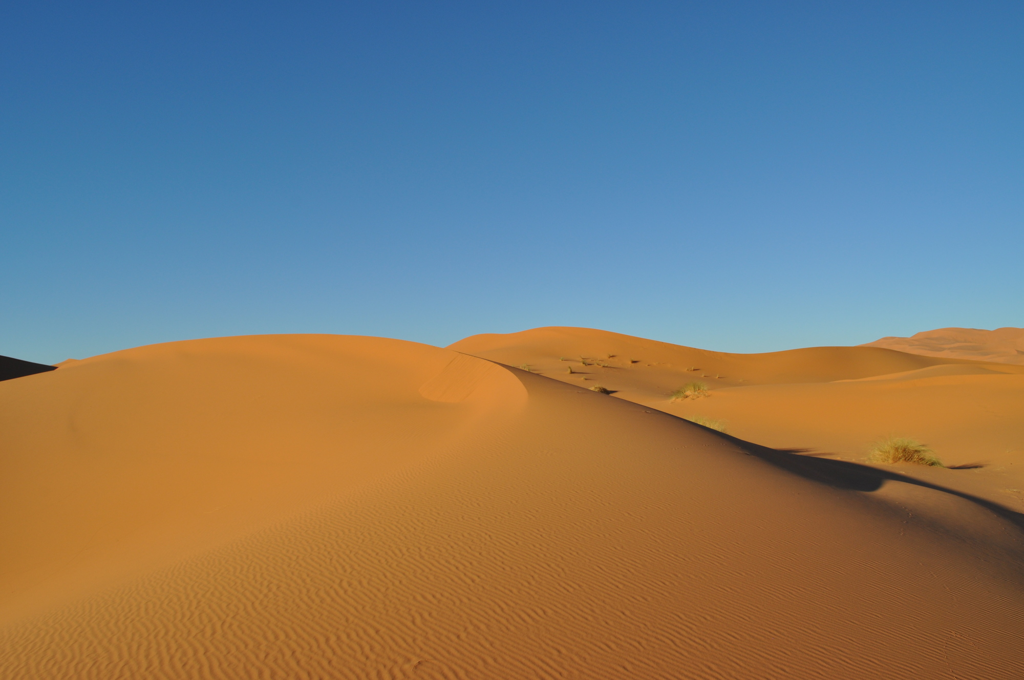 Things to Do in the Sahara Desert in Morocco
