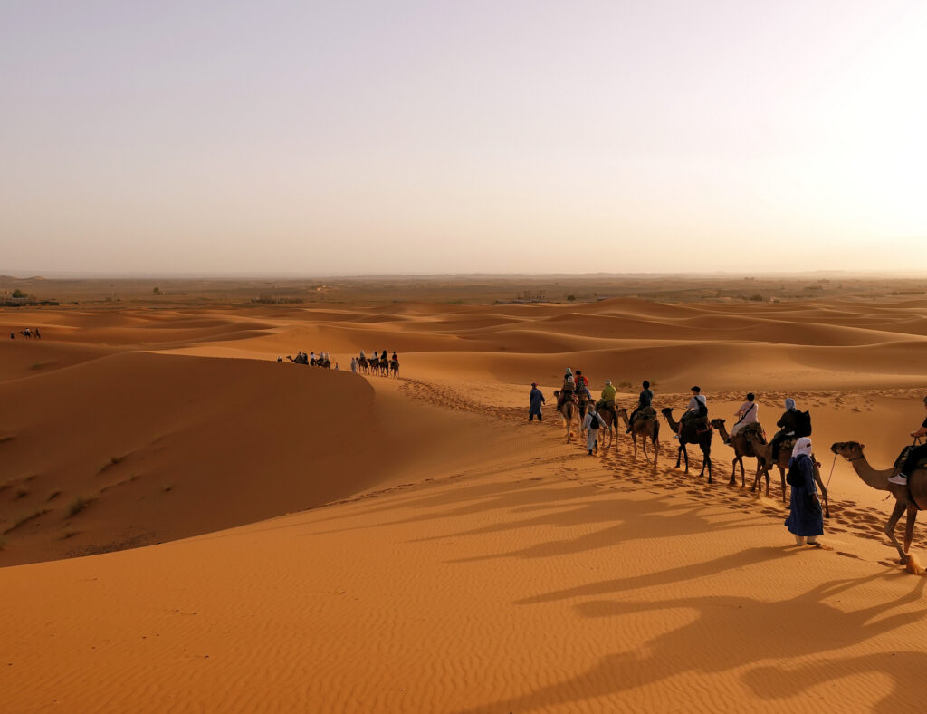 Ride a camel across the dunes