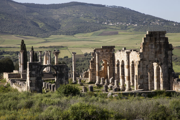 Roman ruins of Volubilis near Meknes, Morocco