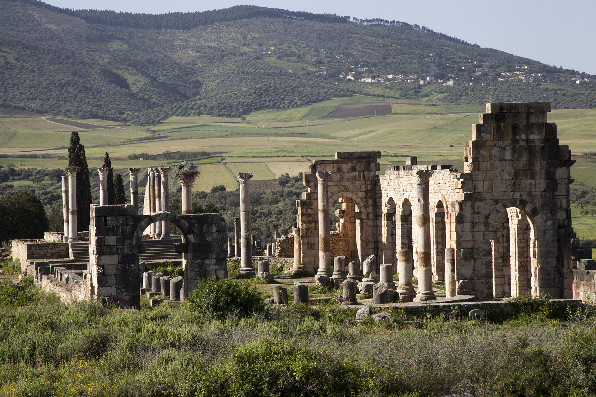 Roman ruins of Volubilis near Meknes, Morocco